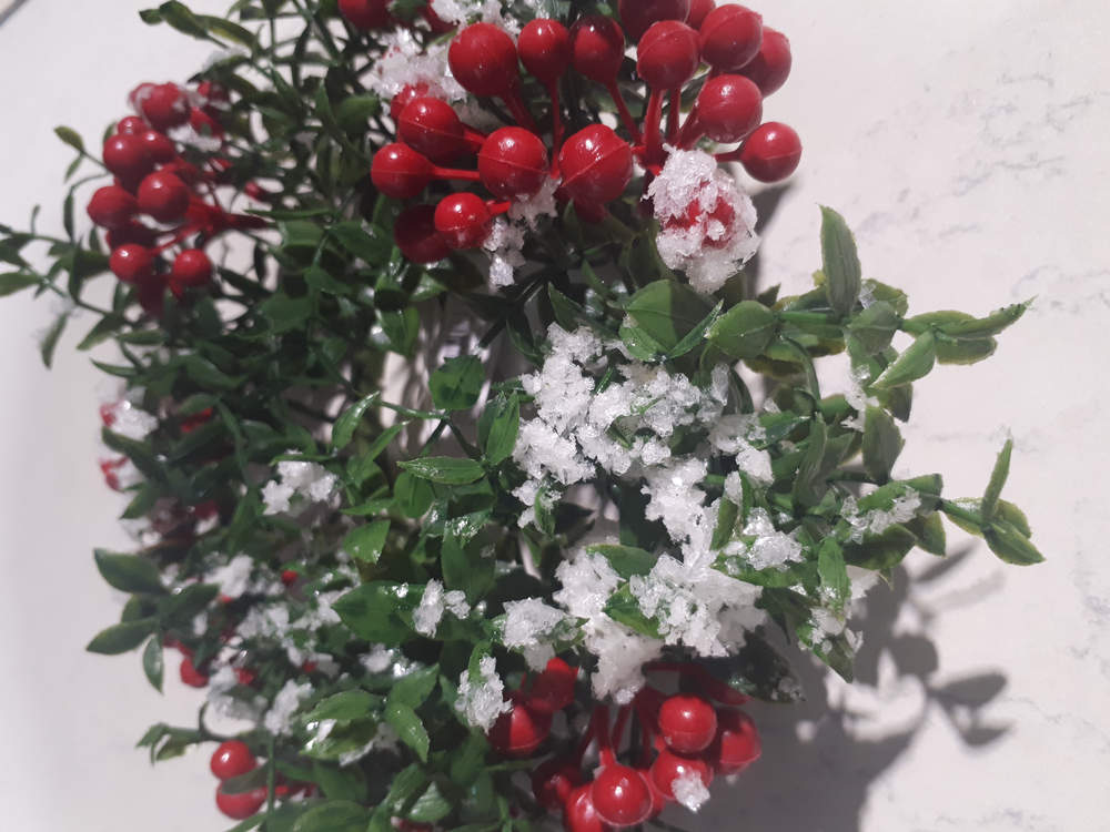 Венок зимний цветочно-ягодный CORONA BACCHE